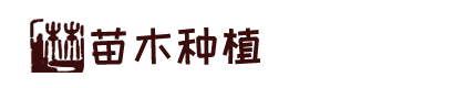 太阳集团网址首页是什么